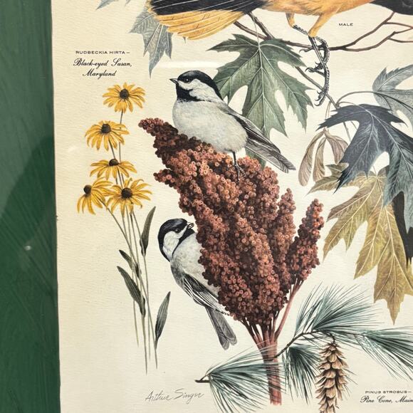 Vintage Arthur Singer framed art print #8 illustration Chikadee birds & flowers - Picture 4 of 10